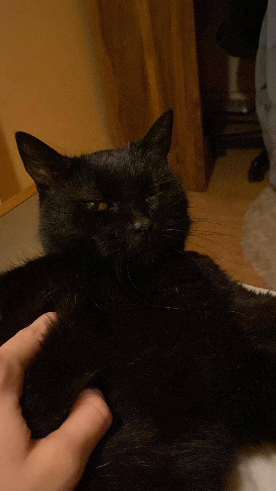 Imagine suplimentară